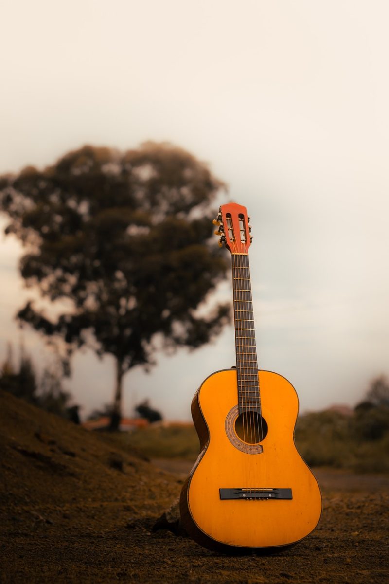 guitar, music, tree, sky, path, instrument, nature, strings