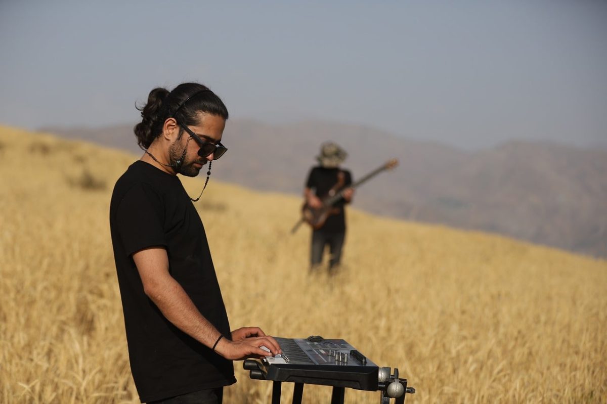 musician, music, guitarist, man, keyboardist, keyboard, human, band, performer, nature, young man, art