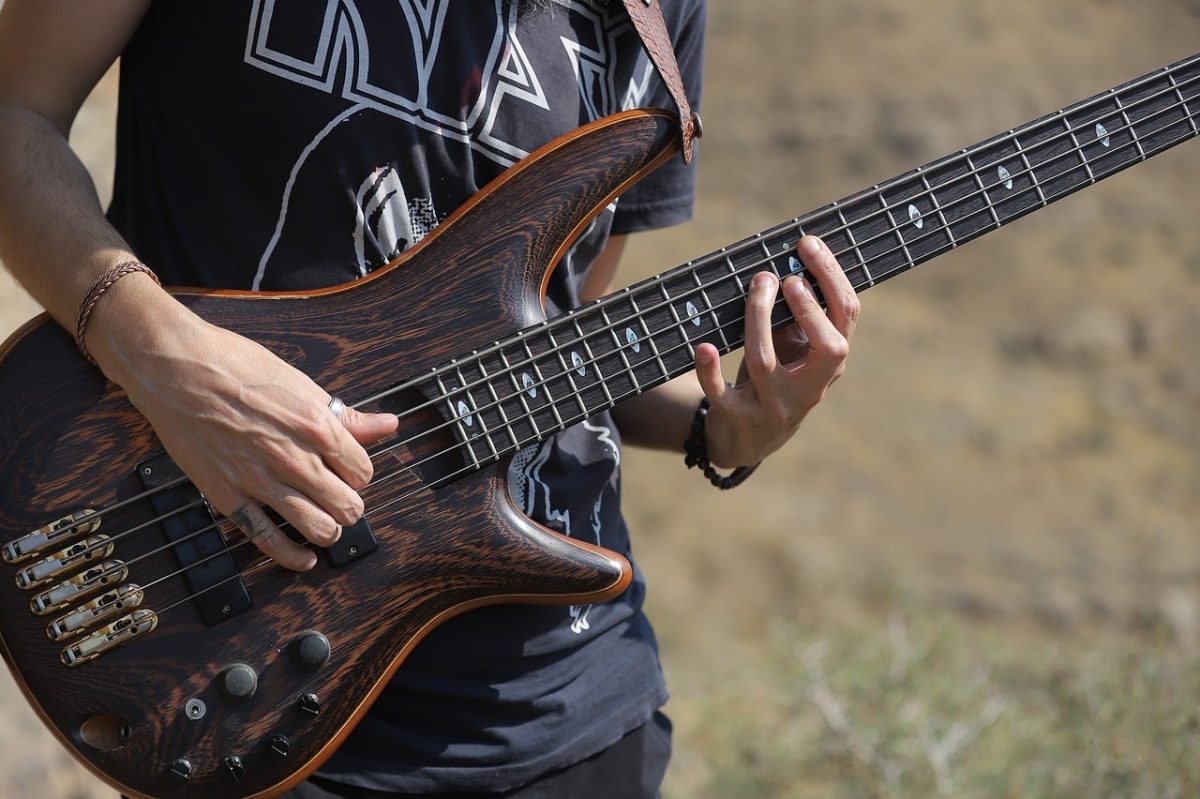 musician, bass guitar, music, guitarist, human, performer, young man, art