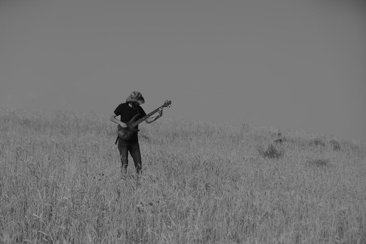 musician, guitar, music, guitarist, man, human, person, performer, nature, young man, art