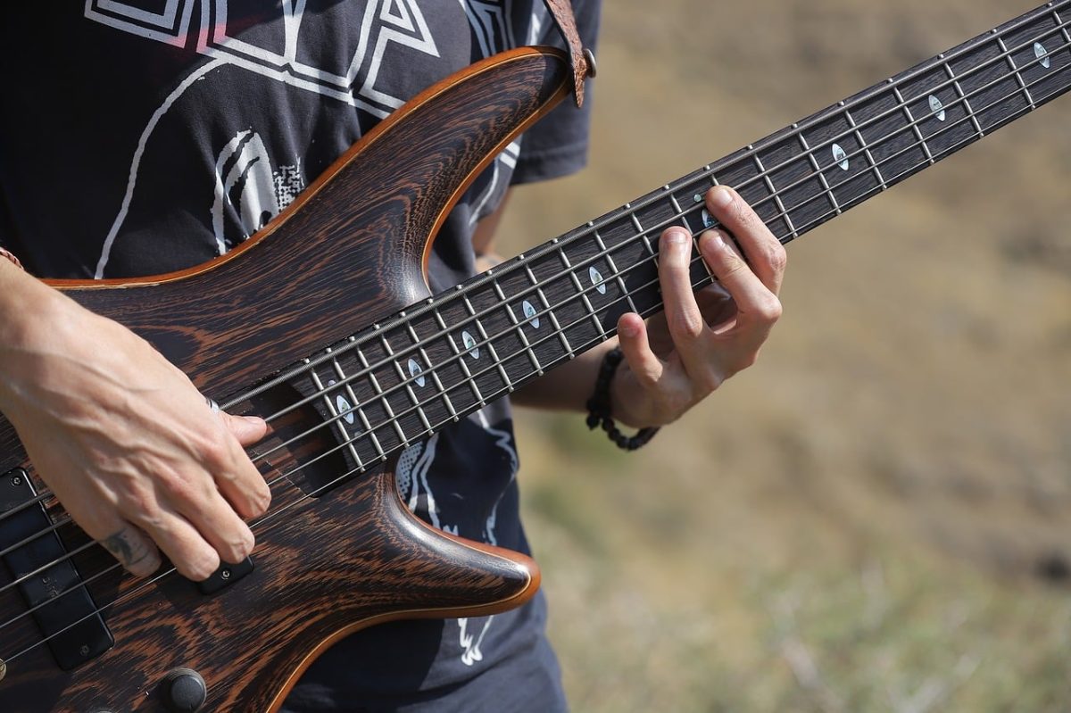 musician, guitar, bass, music, guitarist, man, human, portrait, performer, nature, young man