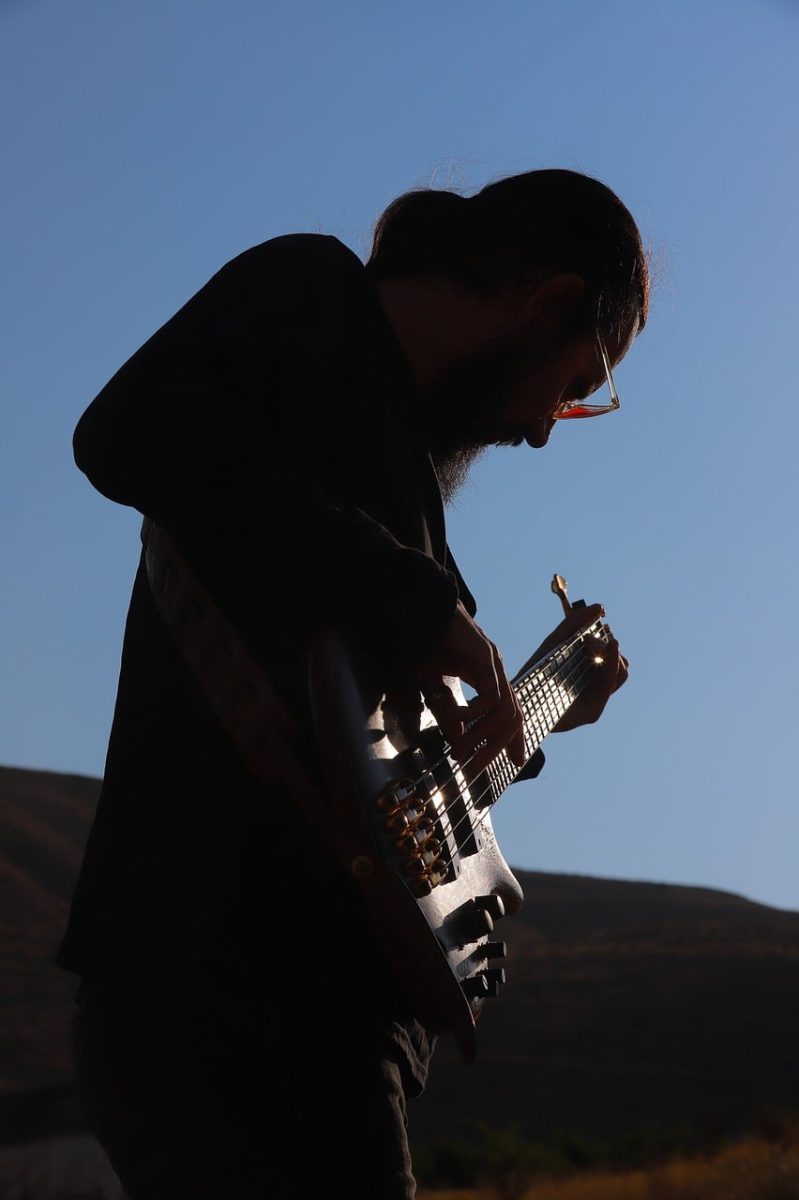 musician, bassist, guitarist, performer, young man, portrait, music, persian, people, human, art, silhouette
