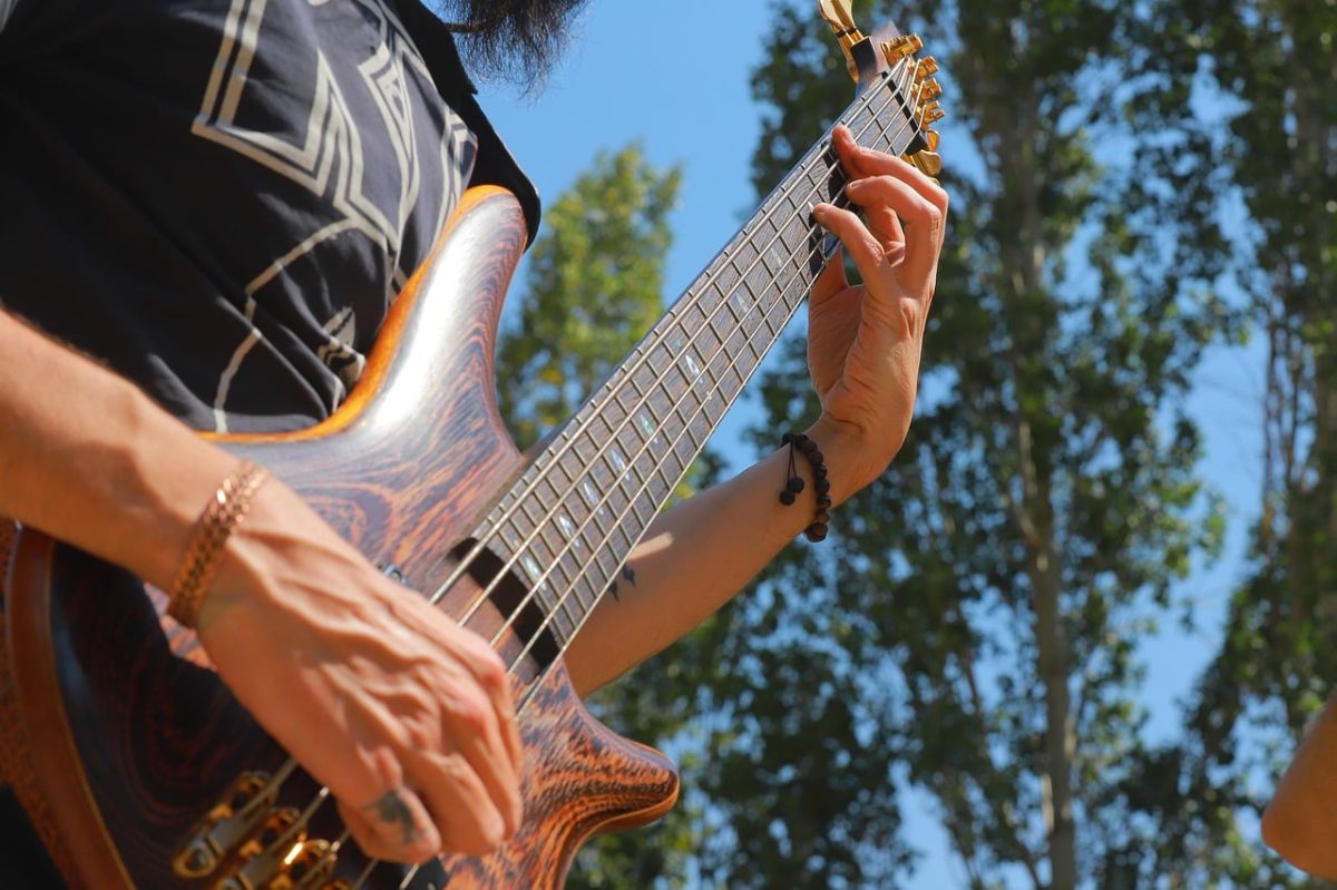 musician, bassist, guitar player, performer, music, nature