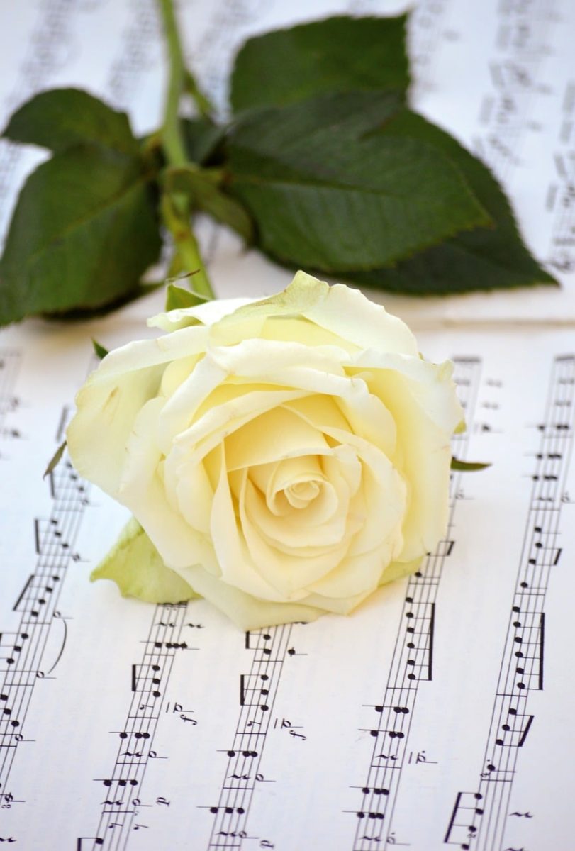 rose, flower, blossom, bloom, date of birth, love, music, sheet music, songs, concert, love songs, to sing, choir, make music, grades, happy mothers day, notenblatt