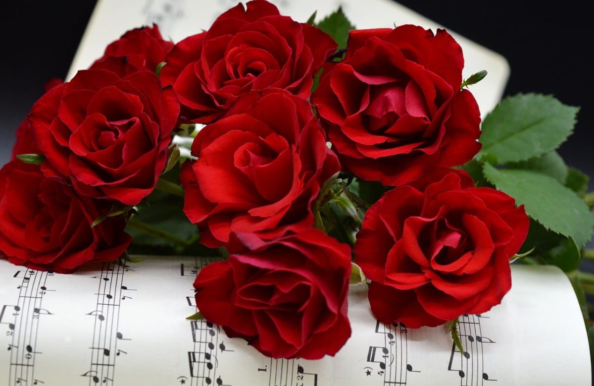 roses, red roses, grades, love song, love, sheet music, blossoms, flower, teacher gradebook, make music, concert, songs, wedding song, to sing, choir, sounds, music, love for music, notenblatt, birthday song, date of birth, birthday greeting, valentine's day, hd background, melody