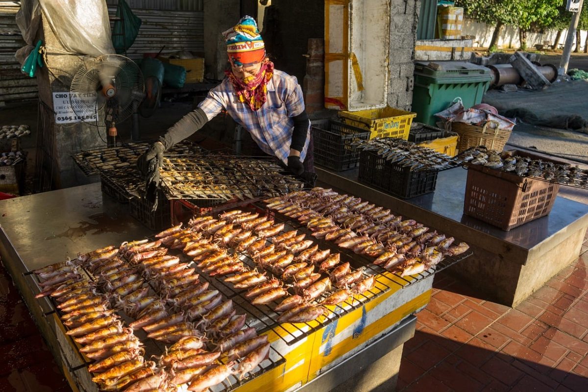 work, labor, vietnam, people, job, hard, fish, woman, portrait, market, nature, food, women