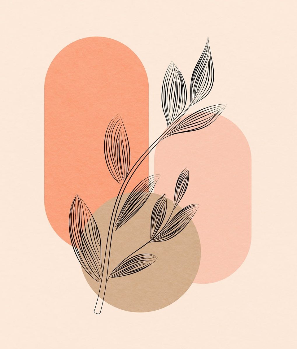boho, nature, background, beautiful wallpaper, bohemian, leaves, drawing, botanical, boho style, poster, art, plants, retro, foliage