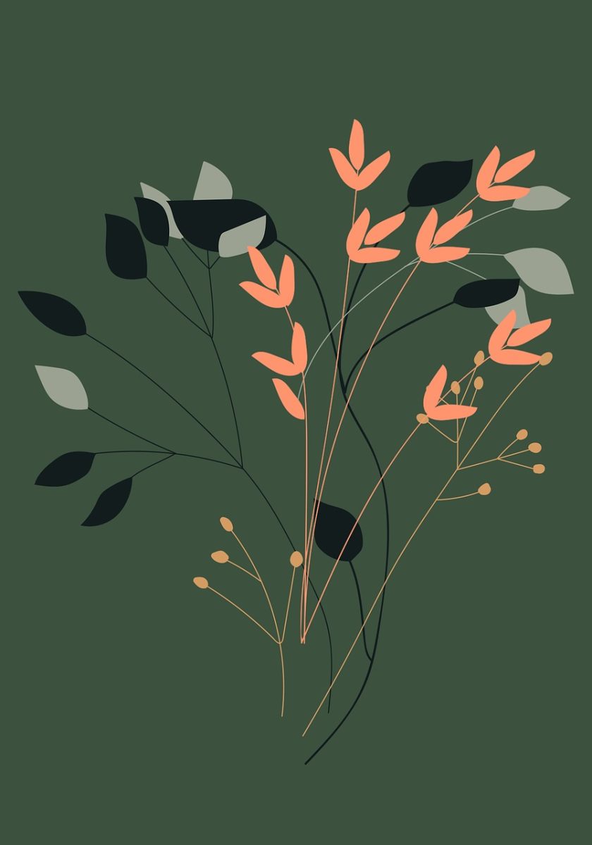 boho, bohemian, background, drawing, nature, flowers, bouquet, seeds, leaves, botanical