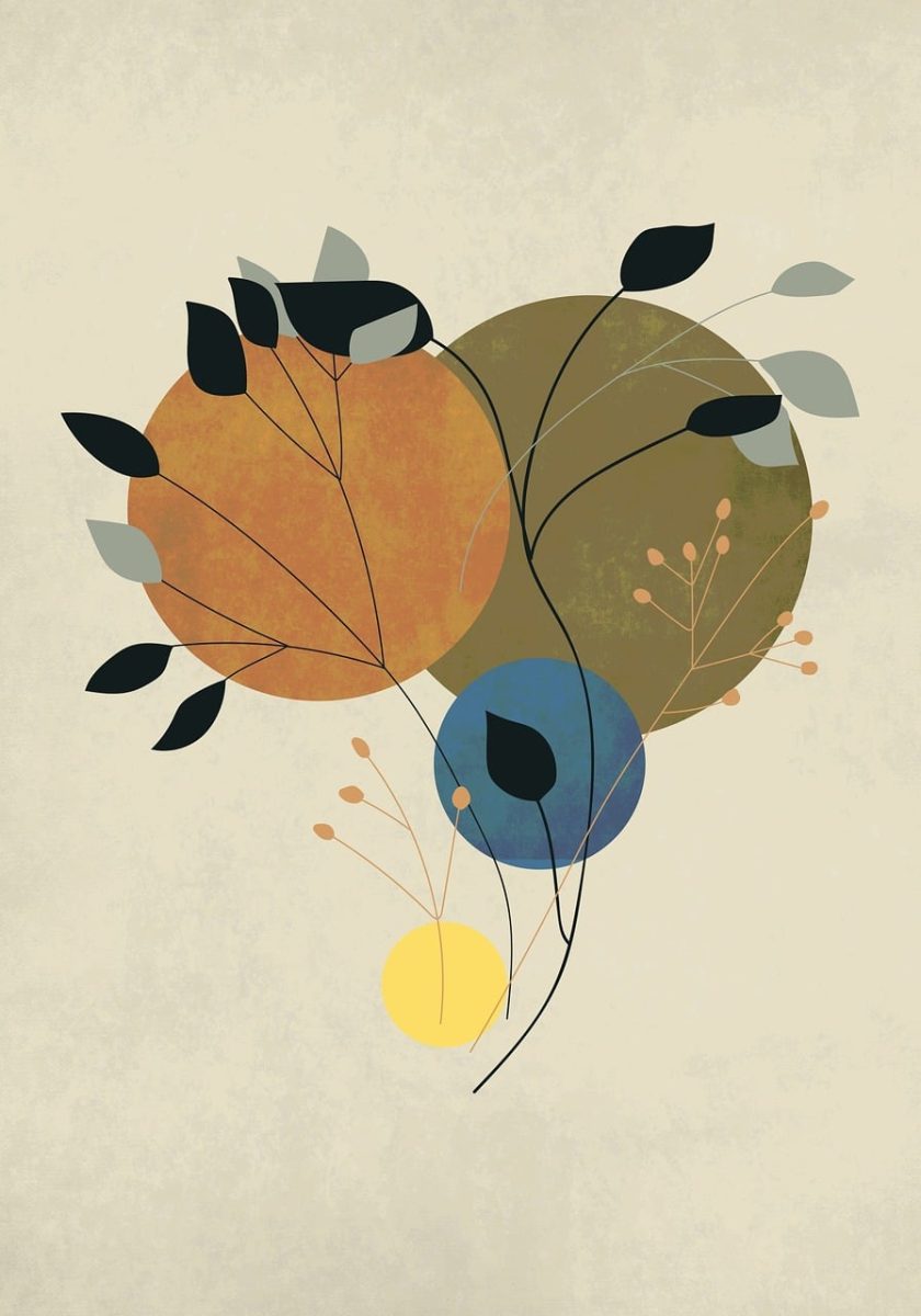 boho, bohemian, background, beautiful wallpaper, drawing, nature, botanical, grunge, seeds, leaves
