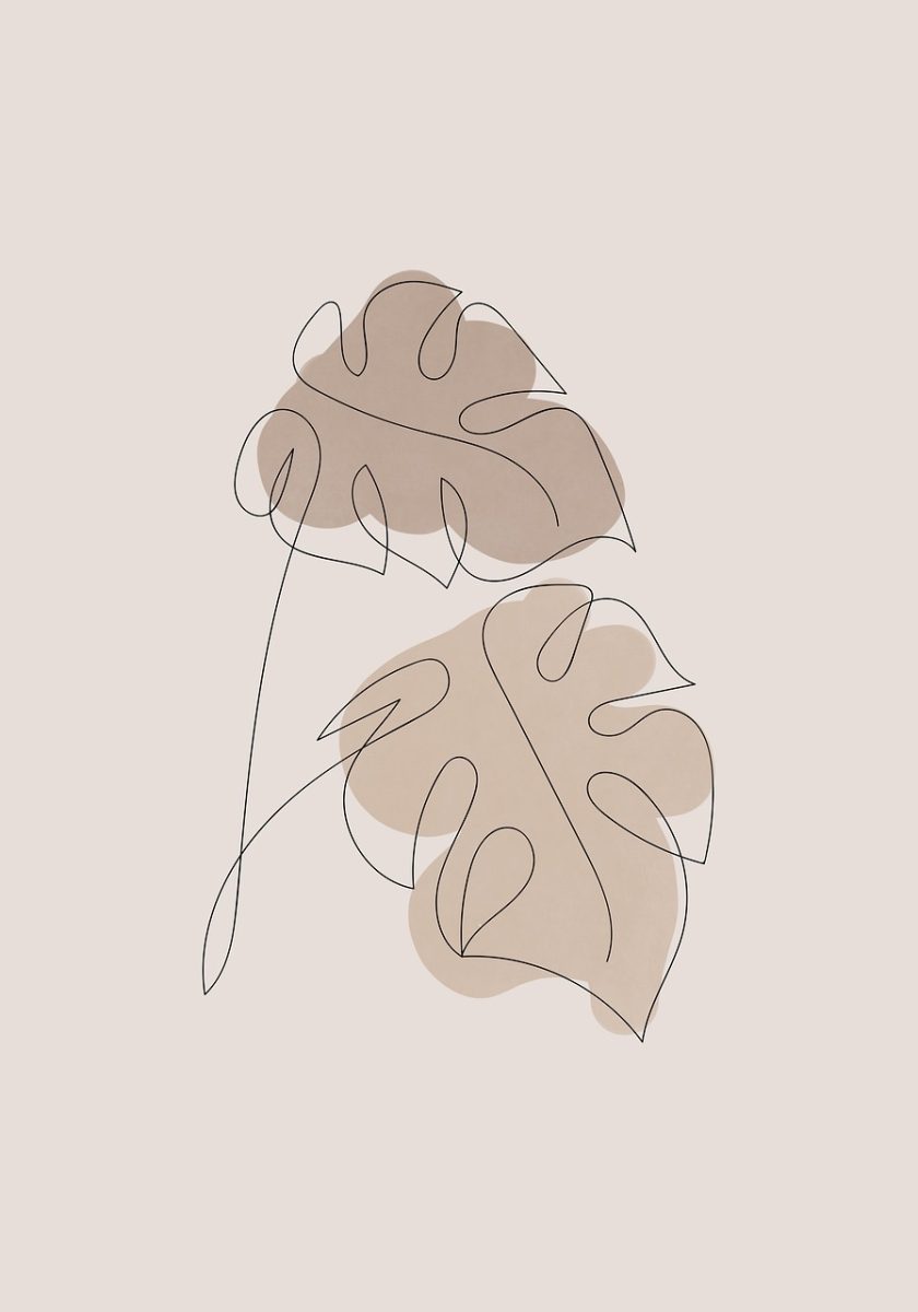 boho, monstera, bohemian, background, drawing, nature, leaves, minimalistic