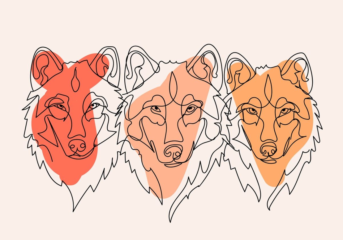 wolf, free background, wolves, 4k wallpaper, drawing, hd wallpaper, line drawing, nature, wild, full hd wallpaper, background, beautiful wallpaper, 4k wallpaper 1920x1080, cool backgrounds, laptop wallpaper, desktop backgrounds, free wallpaper, animals, wallpaper hd, boho, wallpaper 4k, mac wallpaper, windows wallpaper, bohemian