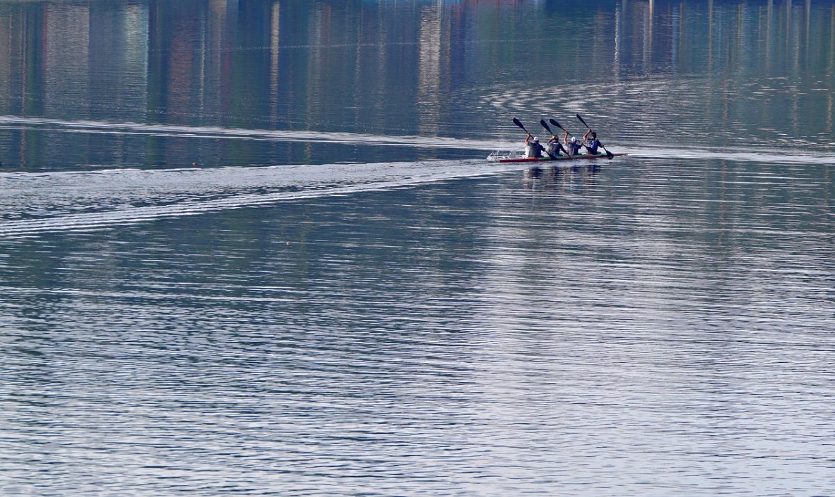 kayak, rowing, river, water, sport, city, team, recreational, landscape, group, training, race, calm, exercise, aerial view, four, nature, water sport, reflection, glitter, outdoors