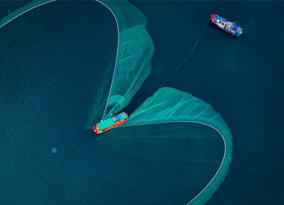 vietnam, phú yên, water, boat, fishing net, aerial view, sea, fishing, tradition, blue, catch, vessel, landscape, heart shape, vibrant colors, summer, industry, nature, livelihood, coast