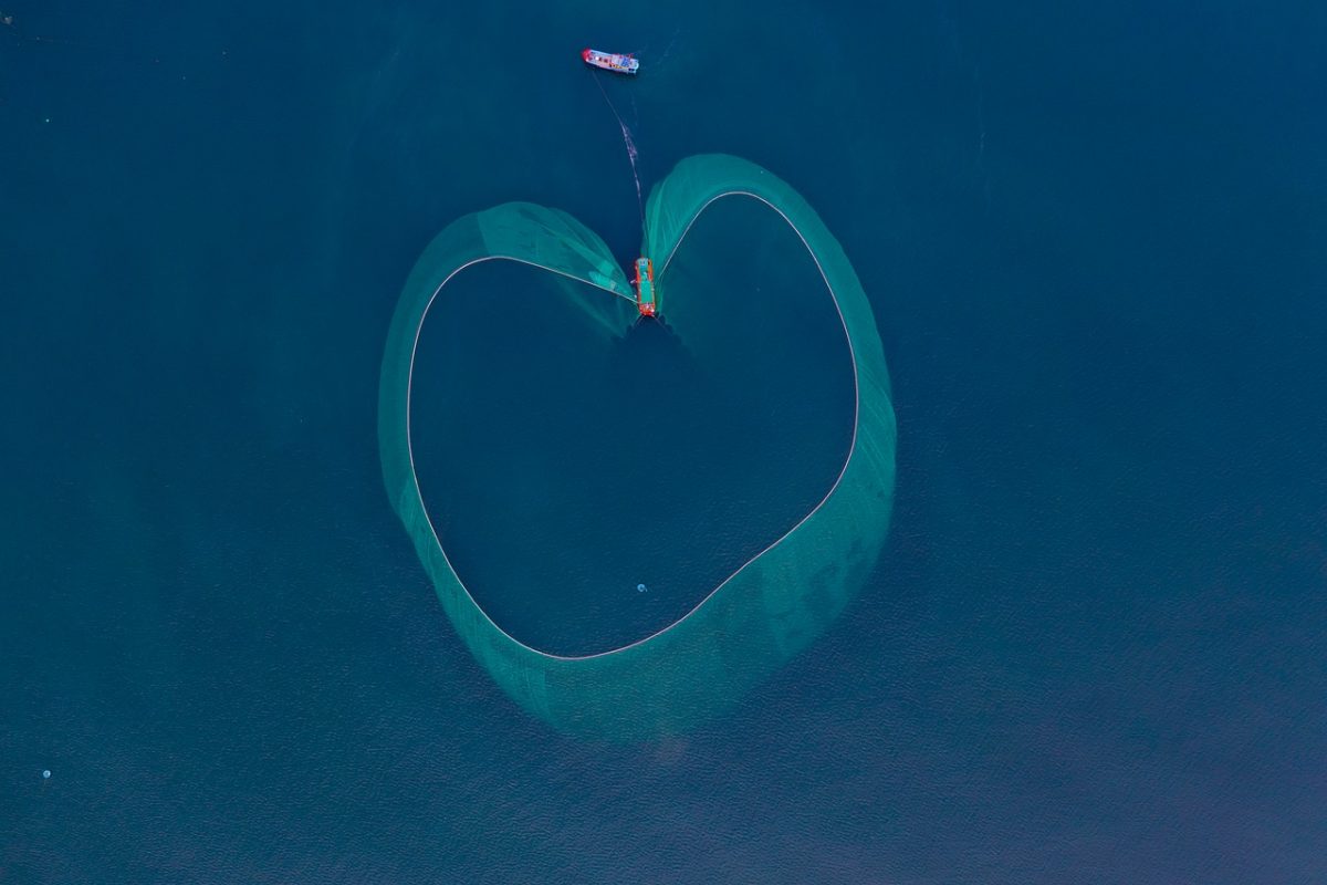 fishing, shore, net, boat, watery, nature, blue, shape, aerial view, natural, beach, practice, catch, vietnam, phu yen, coastal, panorama, sea, circular, equipment, activity