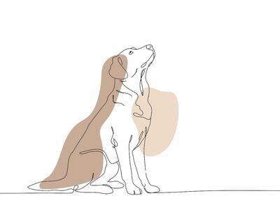 dog, labrador, boho, laptop wallpaper, free background, windows wallpaper, nature, desktop backgrounds, beautiful wallpaper, full hd wallpaper, bohemian, hd wallpaper, 4k wallpaper 1920x1080, 4k wallpaper, wallpaper 4k, drawing, animal, free wallpaper, cool backgrounds, background, wallpaper hd, simplicity, line drawing, minimalistic, mac wallpaper, pet, animals