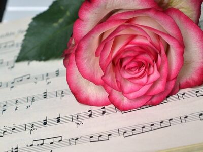 rose, sheet music, flower, blossom, bloom, teacher gradebook, love, grades, make music, concert, songs, love song, to sing, choir, sounds, music, melody, valentine, wedding song, love for music, notenblatt, birthday song, date of birth, birthday greeting, valentine's day