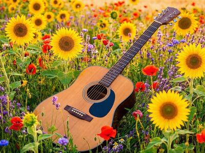 viola, violin, guitar, nature, music, violet, objects, instrument, song, sound, guitarist, acoustic, ai generated