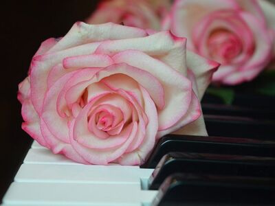 roses, blossoms, flower, piano, wedding song, piano keyboard, keyboard, make music, concert, songs, love song, to sing, choir, sounds, music, melody, love for music, birthday song, date of birth, birthday greeting, valentine, valentine's day, love