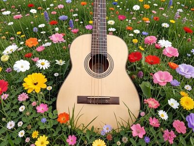 viola, violin, guitar, nature, music, violet, objects, instrument, song, sound, guitarist, acoustic, flor, flores, ai generated