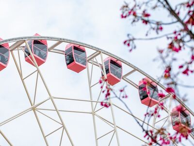 ferris wheel, gondolas, beautiful flowers, red, flowers, spring, sky, nature, flower background, amusement, wheel, flower wallpaper, tourism, attraction, outdoor, clear day, minimal design, recreation, panoramic