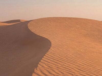 sand dunes, desert sand dunes, sand dunes texture, dune ripples, golden sand dunes, minimal sand dunes, desert texture, wind ripples sand, sand patterns, smooth sand dunes, desert landscape minimal, hd wallpaper, sand dune closeup, zen sand dunes, morning sand dunes, sand texture, nature abstract, 4k wallpaper