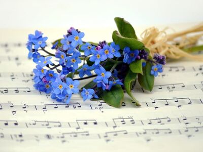 forget me not, blossoms, flower, grades, sheet music, teacher gradebook, make music, concert, songs, to sing, choir, sounds, music, melody, love for music, notenblatt, birthday song, date of birth, birthday greeting, hd background, spring songs, spring