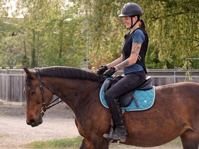 woman, horse, horse riding, sport, nature, outdoors, rider, cascade, saddle, graceful, forest, fun, peaceful, experienced, happiness, day, laughing, freedom, relax, body