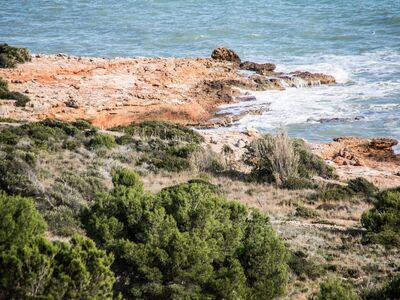 beach, water, natural, nature, surf, coast, travel, cove, cliffs, summer, shore, spain, mountains, untouched nature, scrub, blue water, rocks, trees, wilderness, horizon