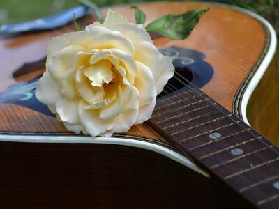 guitar, rose, musical instrument, string instrument, fretboard, artistic photography, spring, close-up, flower, music, craftsmanship, folk music, natural environment, aesthetics, relaxation, decorative, tradition, romantic, melody, chill