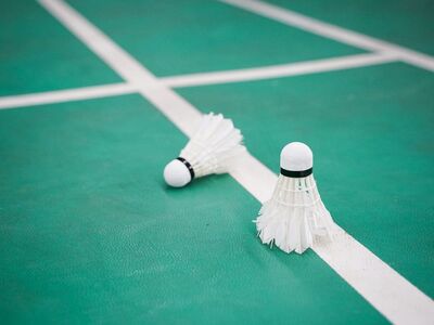 badminton, shuttlecock, sport game, player, indoor, court, feathers, line, hobby, game, play, tournament, green, floor, chaos, white, net, entertainment, professional, activity, equipment