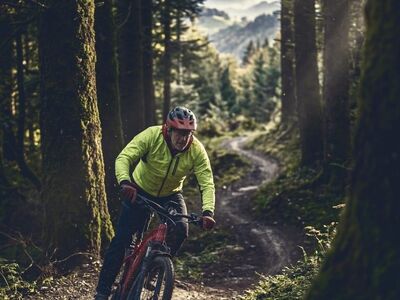 mountain biking, forest trail, cyclist, mountains, nature, cycling, adventure, sport, outdoors, slope, motion, trees, clear, bike, adult male, natural beauty, solitary, ahead, road, challenging