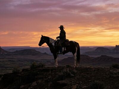 cowboy, horseback riding, horse, silhouette, canyon, sunset, nature, purple clouds, orange sky, hat, saddle, horizon, wilderness, travel, traditional, explorer, rugged terrain, picturesque, majestic, country, authentic