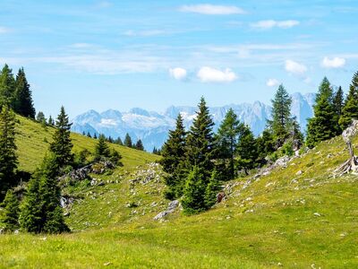 mountains, landscape, trees, forests, meadows, hilly, alpine, hike, grass, blue sky, nature, mountain range, panorama, excursion, trekking, natural scenery, view, relaxation