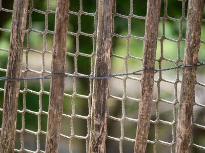 fence, texture, wood, net, squares, geometric, background, cord, fabric, shadow, design, rope, stripe, plastic, outdoor, natural, wooden fence, greenery, nature, nice