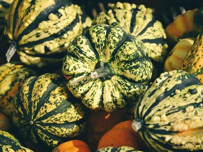 squash, vegetable, autumn, harvest, colorful, farmers market, decoration, autumn decoration, gourmet, nature, season, fresh, shape, green, yellow, decorative gourds, seasonal food, hummery, autumn harvest, texture
