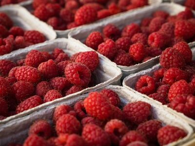 raspberries, fruit, red, basket, market, fresh, food, healthy, natural, organic, nutrition, vitamins, bio, no preservatives, agriculture, fermentation, lactose, seasonal, local farm, excellent taste