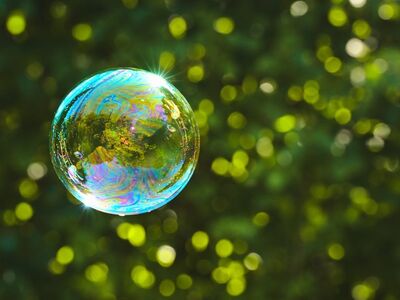 soap bubble, rainbow colors, reflection, nature, sunshine, green leaves, glowing, summer feeling, focus, outdoors, tranquility, bokeh photography, dreaming, fantasy, airy, peaceful, creativity, lightness, freedom