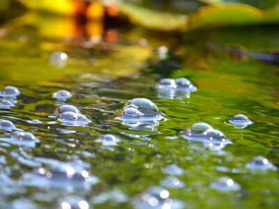 water, bubbles, reflection, leaves, green, nature, abstract, pattern, calm, surface, waves, liquid, art, light, hydration, feeling