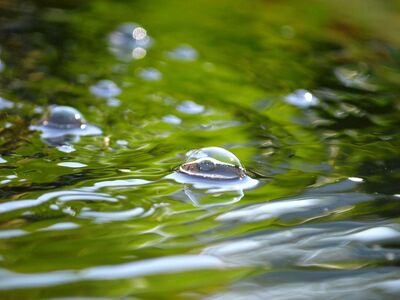 bubble, water, reflection, surface, nature, flow, light, abstract, calm, water surface, calm water, soft, liquid, blue, waves, art, melancholic, flowing water, green, smooth