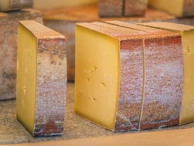 cheese, rind cheese, aged cheese, cheese wedge, traditional cheese, artisan cheese, sandwich cheese, swiss cheese, cheese block, savory cheese, cheese tasting, cheese in kitchen, cheese delicacy, cheese rind finish, artisan cheese making, flavorful cheese, tasting cheeses, cheese formation