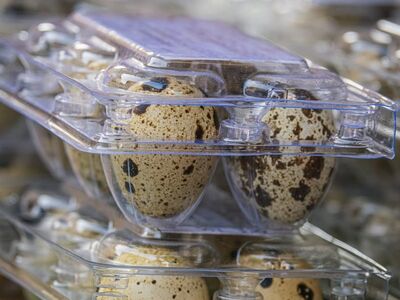 quail eggs, plastic packaging, speckled, organic, nature, healthy, food, fresh, detail, natural product, packaging, small size, supermarket, close-up, protein, popular food, cuisine, nutrition, cooking