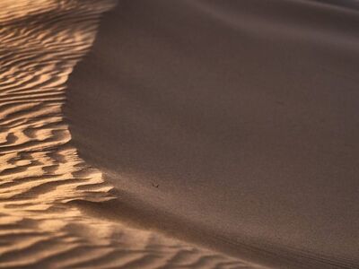 desert, sand dunes, sand patterns, sand, desert landscape, landscape, texture, golden hour, natural beauty, nature, landscape photography, natural pattern, serene, undulating, minimalism, calmness, sand color, natural scenery, wide angle, silence