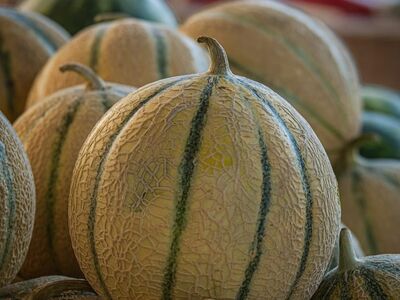melon, market, fruit, vegetable, agriculture, farmers market, fresh, green stripe, texture, light, field, crop, variety, summer, natural, details, traditional, groceries, outdoor, stall, grey