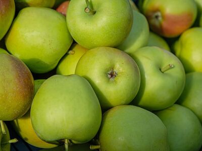 apples, green apples, fruit, healthy food, fresh, market, natural, vitamins, agriculture, vitamin c, red spot, eco production, cultivation, organic, harvest, farmers, agricultural products, vitamin bomb, crisp, fresh produce