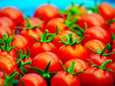 tomatoes, red, fresh, vegetable, organic, healthy, harvest, healthy eating, recipe, vitamins, diet, agriculture, fruit, crops, yield, cooking, photosynthesis, spice, boiling