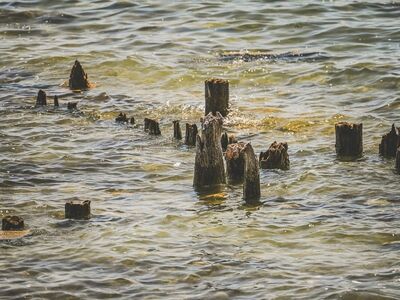 wooden stakes, water, nature, lake, wood, shoreline, lake water, decay, natural environment, deterioration, antiquity, ruin, low tide, natural decay, sunlight, blue-green, dilapidated, effect, gray-brown