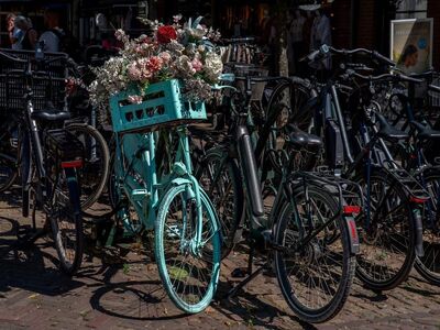 bicycle, flowers, decoration, netherlands, bike parking, blue, turquoise, bike basket, city, card, stationed, sunny, lighting, shadow, street, modern, brick, garden, ornament, touristic