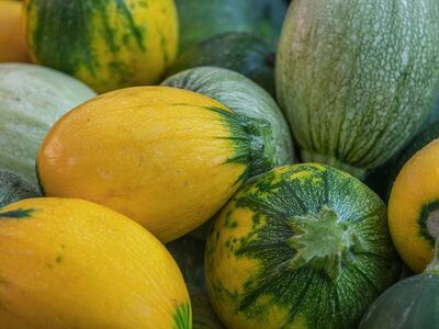 vegetable, zucchini, round, yellow, fresh, vitamins, nutrition, healthy, organic, nature, weight loss, diet, slimming, garden, green color, harvest, market, agriculture, aesthetic, food, country