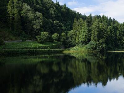 lake, forest, trees, nature, landscape, summer, reflection, calm, japan, tohoku, yamagata, outdoors, tranquil, wooded, conservation, relaxation, travel, far east, serene lake
