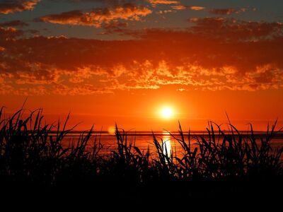 sunset, grass, sea, horizon, silhouette, nature, sky, peaceful, romantic, summer, evening, calm, vacation, north sea coast, red sky, light, calmness, outline, red color, clouds, evening light